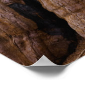 VS, Californië, Giant Sequoia-boom Poster (Hoek)