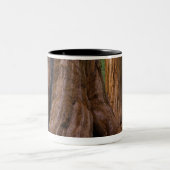 VS, Californië, Giant Sequoia-boom Tweekleurige Koffiemok (Center)