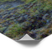 VS, Californië, Inyo National Forest 11 Poster (Hoek)