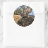 VS, Californië, Inyo National Forest 12 Ronde Sticker (Tas)