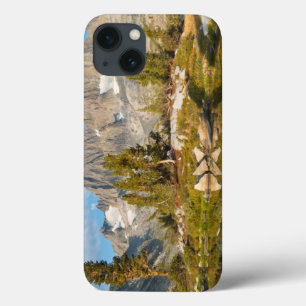 VS, Californië, Inyo National Forest 13 Case-Mate iPhone Case