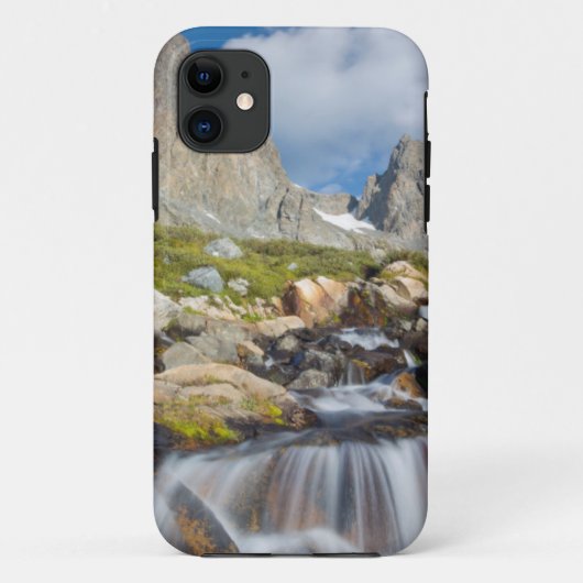 VS, Californië, Inyo National Forest 14 Case-Mate iPhone Case (Achterkant)