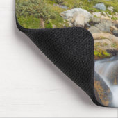 VS, Californië, Inyo National Forest 14 Muismat (Hoek)