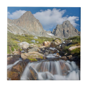 VS, Californië, Inyo National Forest 14 Tegeltje