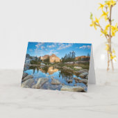 VS, Californië, Inyo National Forest.2 Kaart (Gele Bloem)