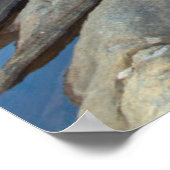 VS, Californië, Inyo National Forest. 2 Poster (Hoek)