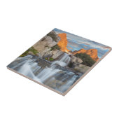 VS, Californië, Inyo National Forest 2 Tegeltje (Zijkant)