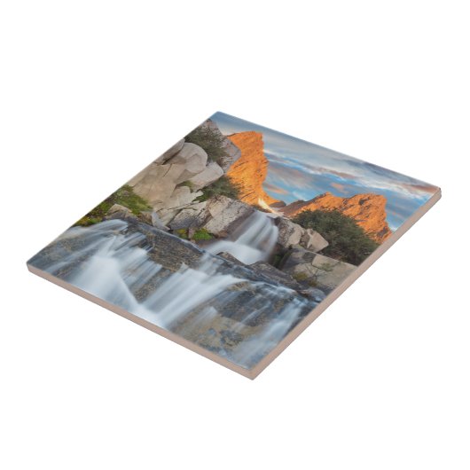 VS, Californië, Inyo National Forest 2 Tegeltje (Zijkant)