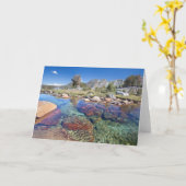 VS, Californië, Inyo National Forest 4 Kaart (Gele Bloem)