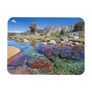 VS, Californië, Inyo National Forest 4 Magneet