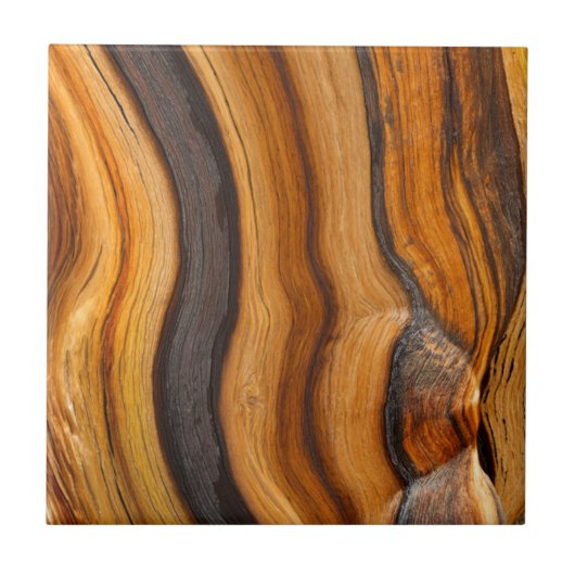 VS, Californië, Inyo National Forest 7 Tegeltje (Voorkant)