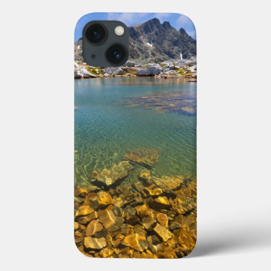 VS, Californië, Inyo National Forest 8 Case-Mate iPhone Case (Achterkant)
