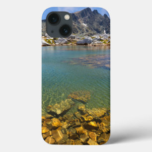 VS, Californië, Inyo National Forest 8 Case-Mate iPhone Case