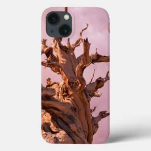 VS, Californië, Inyo National Forest 9 Case-Mate iPhone Case
