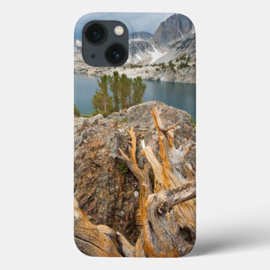 VS, Californië, Inyo National Forest. Case-Mate iPhone Case (Achterkant)