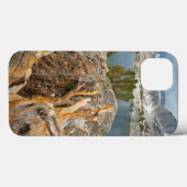 VS, Californië, Inyo National Forest. Case-Mate iPhone Case (Achterkant (horizontaal))