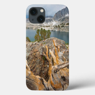 VS, Californië, Inyo National Forest. Case-Mate iPhone Case