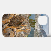 VS, Californië, Inyo National Forest. Case-Mate iPhone Case (Achterkant (horizontaal))