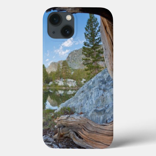 VS, Californië, Inyo National Forest. Oude den Case-Mate iPhone Case (Achterkant)