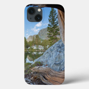VS, Californië, Inyo National Forest. Oude den Case-Mate iPhone Case