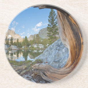 VS, Californië, Inyo National Forest. Oude den Zandsteen Onderzetter