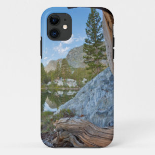 VS, Californië, Inyo National Forest. Oude pijnboo iPhone 11 Hoesje
