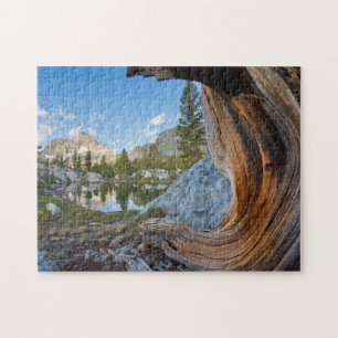 VS, Californië, Inyo National Forest. Oude pijnboo Legpuzzel