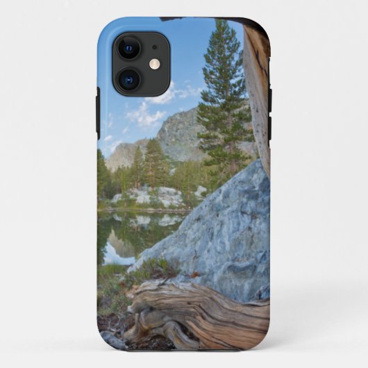 VS, Californië, Inyo National Forest. Oude pine Case-Mate iPhone Case (Achterkant)