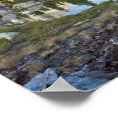 VS, Californië, Inyo National Forest. Oude pine Poster (Hoek)