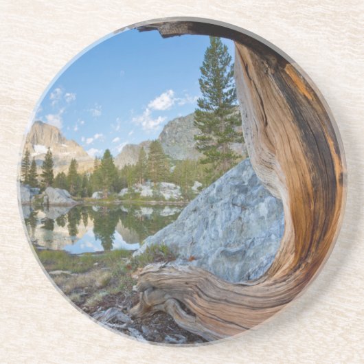 VS, Californië, Inyo National Forest. Oude pine Zandsteen Onderzetter (Voorkant)