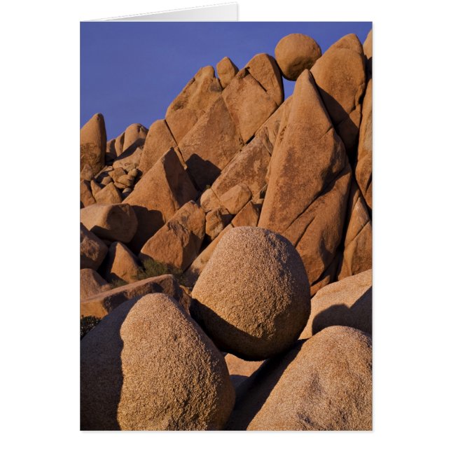 VS, Californië, Joshua Tree National Park. (Voorkant)
