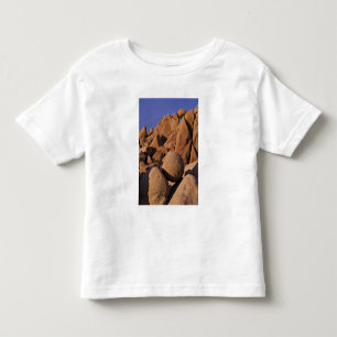 VS, Californië, Joshua Tree National Park. Kinder Shirts