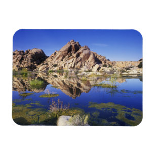 VS, Californië, Joshua Tree National Park, Magneet