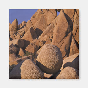 VS, Californië, Joshua Tree National Park. Magneet