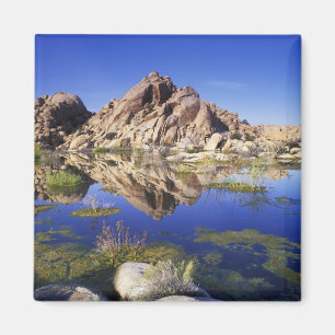 VS, Californië, Joshua Tree National Park, Magneet