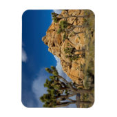 VS, Californië, Joshua Tree National Park Magneet (Verticaal)