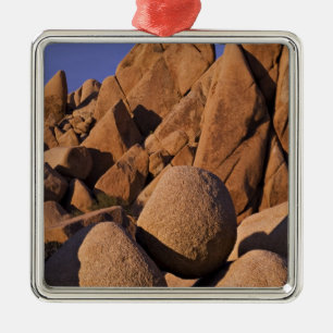 VS, Californië, Joshua Tree National Park. Metalen Ornament