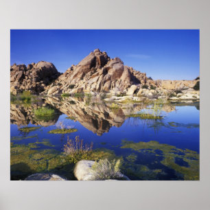 VS, Californië, Joshua Tree National Park, Poster