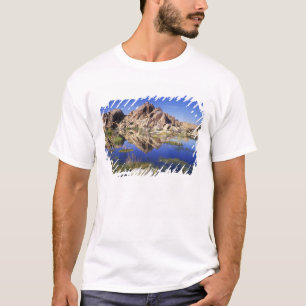 VS, Californië, Joshua Tree National Park, T-shirt