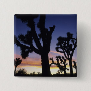 VS, Californië, Joshua Tree National Park, Vierkante Button 5,1 Cm