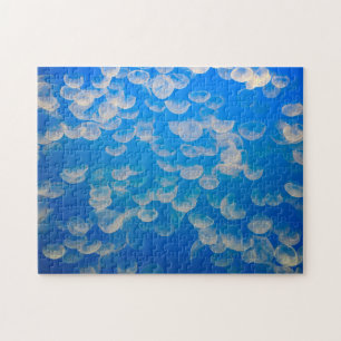 VS, Californië. kwallen in de Monterey Bay Legpuzzel