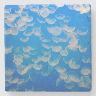 VS, Californië. kwallen in de Monterey Bay Stenen Onderzetter