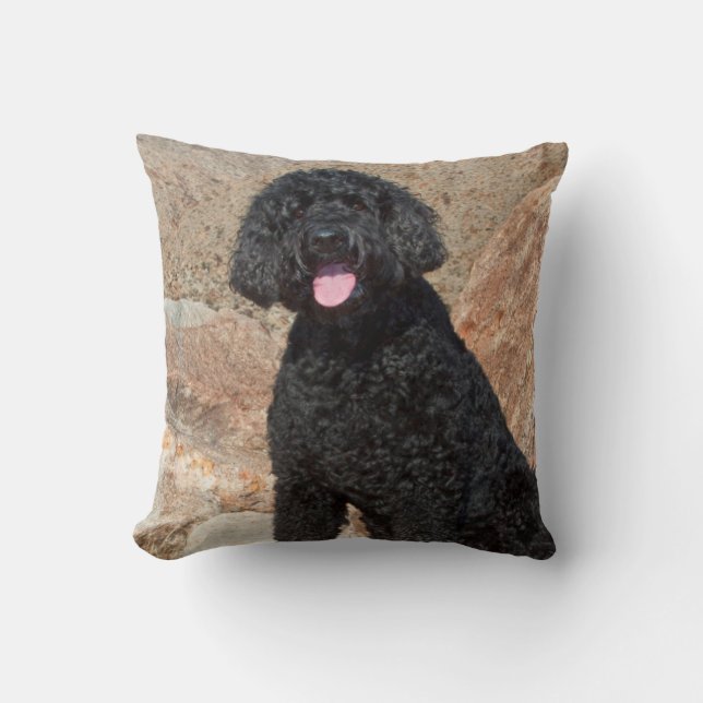 VS, Californië. Labradoodle Oppas Kussen (Voorkant)