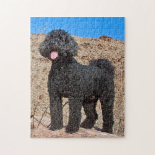 VS, Californië. Labradoodle Staand Legpuzzel