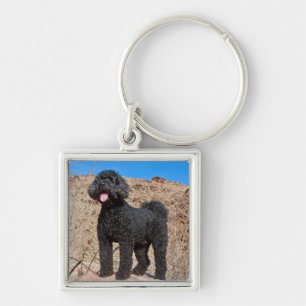 VS, Californië. Labradoodle Staand Sleutelhanger