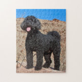 VS, Californië. Labradoodle Standing Legpuzzel (Verticaal)