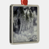 VS, Californië, Lake Tahoe. IJsjes over Metalen Ornament (Rechts)