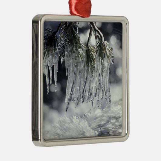 VS, Californië, Lake Tahoe. IJsjes over Metalen Ornament (Rechts)