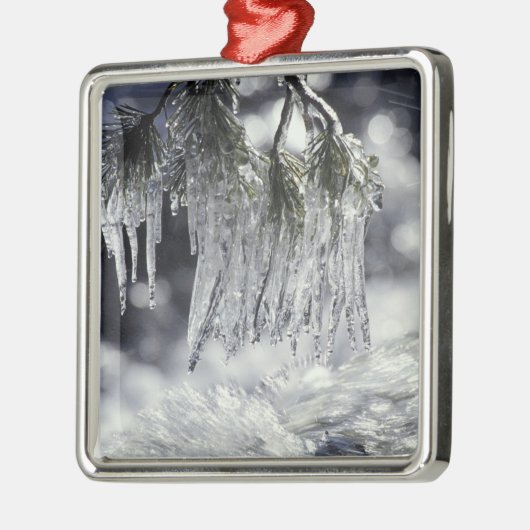 VS, Californië, Lake Tahoe. IJsjes over Metalen Ornament (Links)