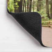 VS, Californië, Marin County, Muir Bossen Muismat (Hoek)